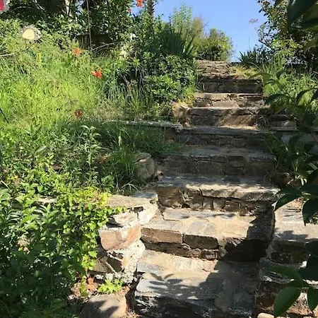 Chalet Alzetu Cervione