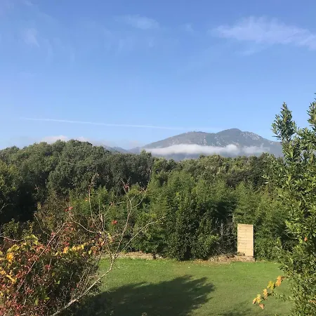 Apartamento Chalet Alzetu Cervione