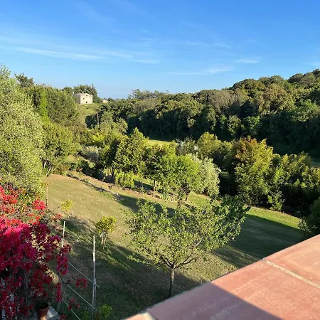 Chalet Alzetu Cervione